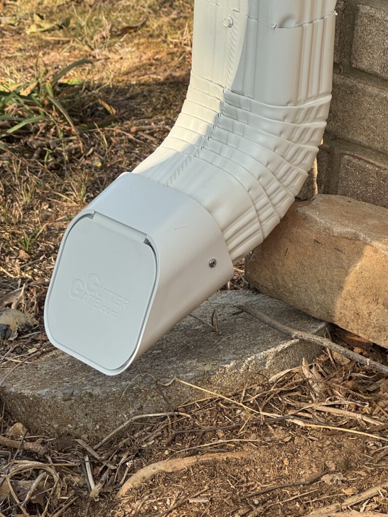 Gutter Repair and Animal Prevention in Florence — florence
